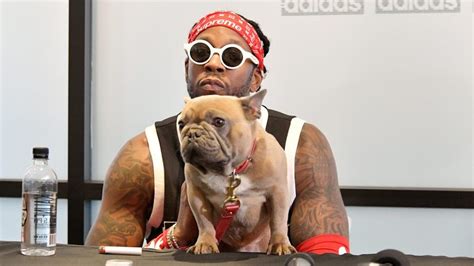 2 chainz goyard|2 Chainz Reveals His Superstar Dog Trappy Has Passed Away.